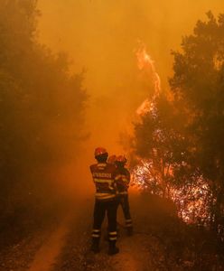 Portugalia: podpalenie przyczyną pożarów?