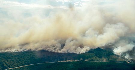 Szwecja prosi Unię Europejska o pomoc. Trwa walka z pożarami