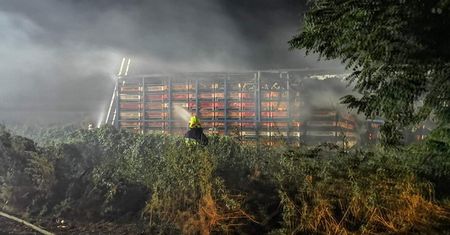 Prochowice. Tysiące kurczaków spłonęły żywcem