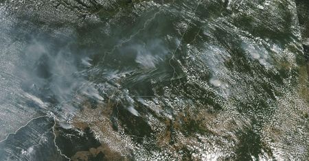 Ekologiczny koniec świata. Płoną lasy w Amazonii. Tylko one chronią nas przed drastyczną zmianą klimatu