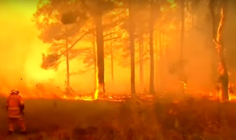 Gigantyczne pożary trawią Australię. Ogień zbliża się do Sydney