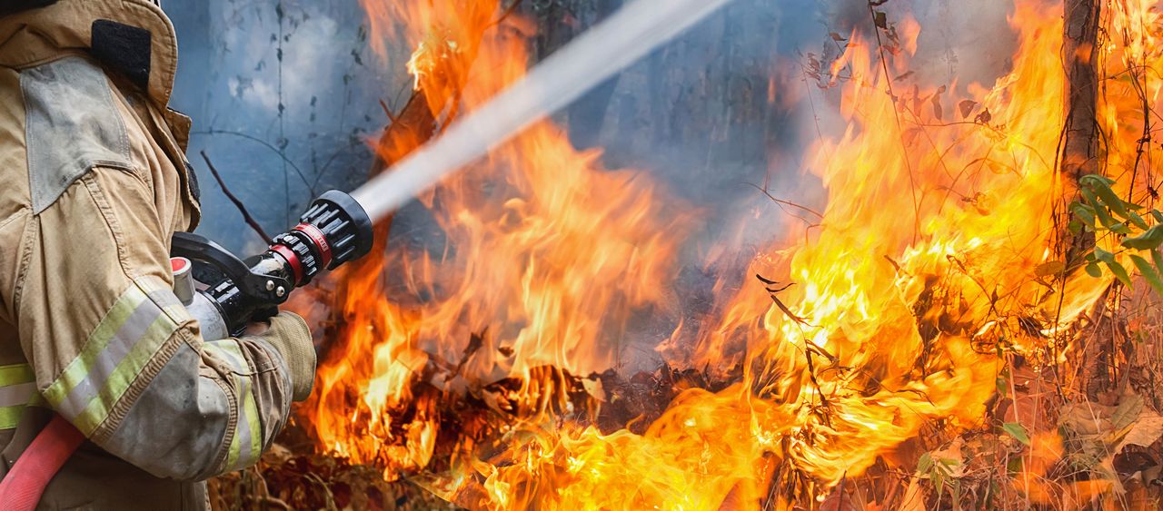 Mazowsze. 120 strażaków walczy z pożarem lasu