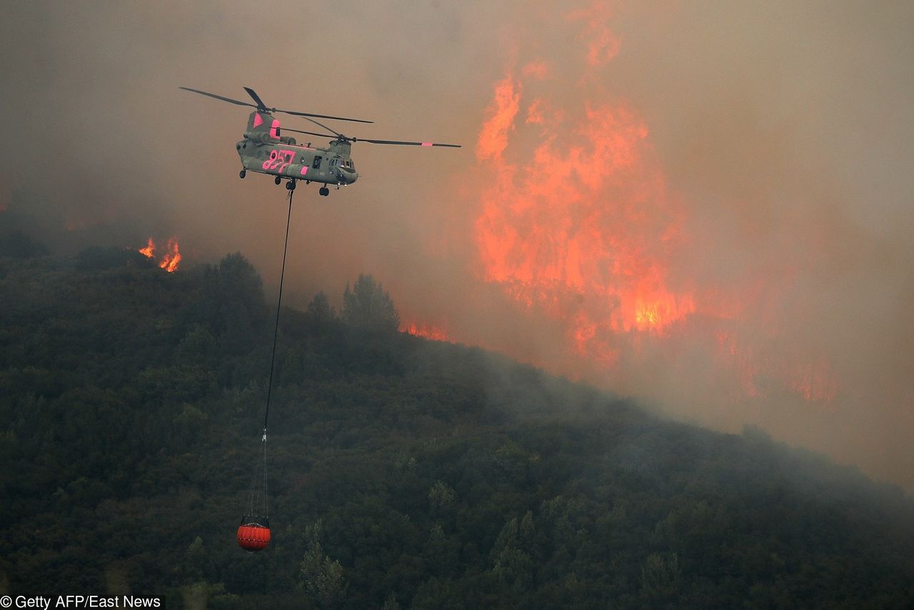 Kalifornia wciąż płonie. Ogień strawił już ponad tysiąc domów