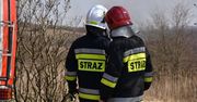 Duży pożar niedaleko Łodzi. Ponad stu strażaków w akcji