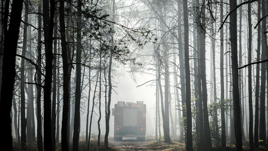 Świerże Górne (woj. mazowieckie). Pożar lasu nieopodal elektrowni (zdj. ilustr.)