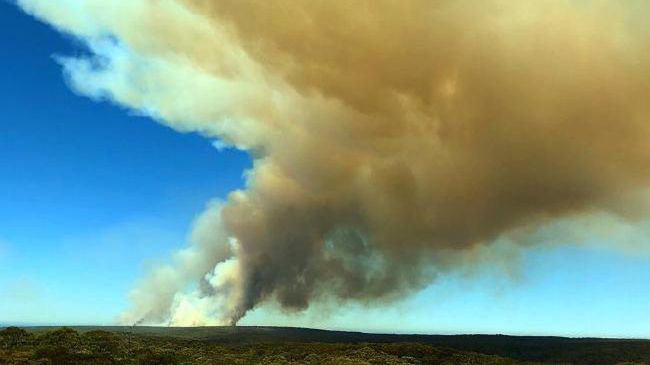 Na dużej powierzchni palą się trawy