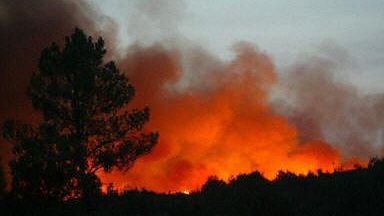 Może polskie helikoptery pomogą zapanować nad żywiołem