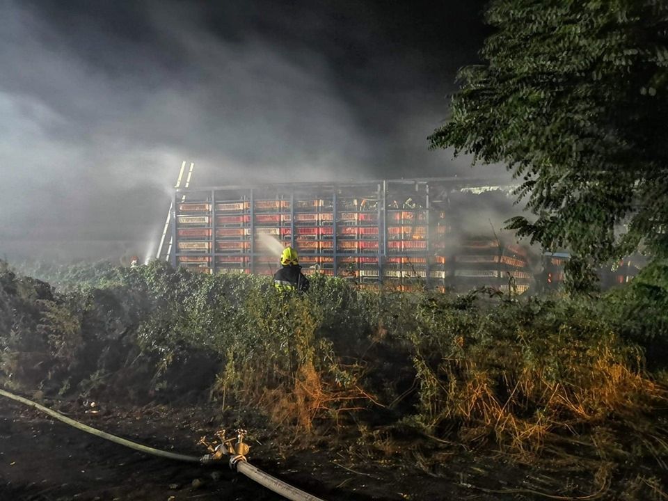 Prochowice. Tysiące kurczaków spłonęły żywcem