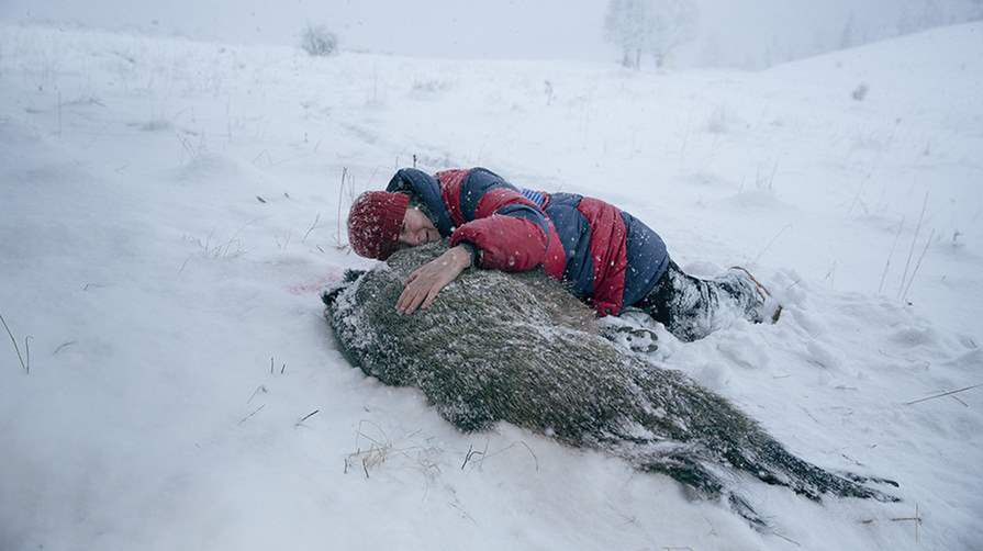 Berlinale 2017. Zagraniczne media o "Pokocie" Agnieszki Holland. „Niedoskonały, ale prowokujący i wywrotowy”