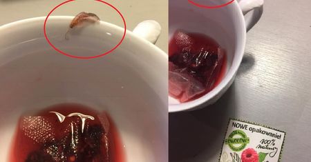 Robak w torebce herbaty. Odpowiedź Herbapolu
