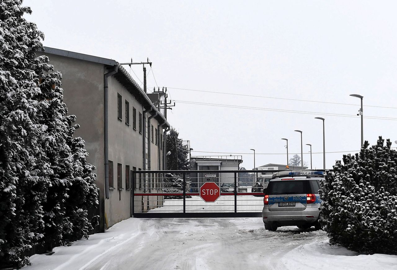 Afera mięsna. Podejrzana wołowina z Polski trafiła do szkół i przedszkoli w Sztokholmie. Dzieci już ją zjadły