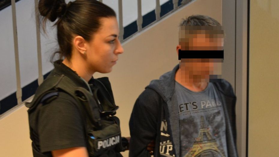 Mężczyzna przyznał się do winy