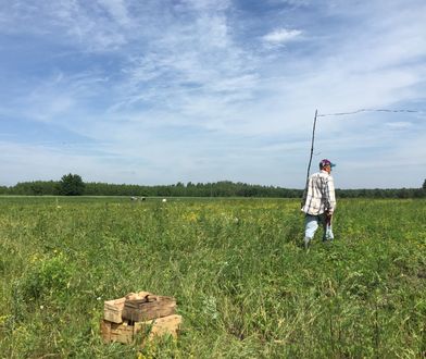 Dziadek Bogumił od truskawek. Życie go nie rozpieszczało, odnalazł szczęście