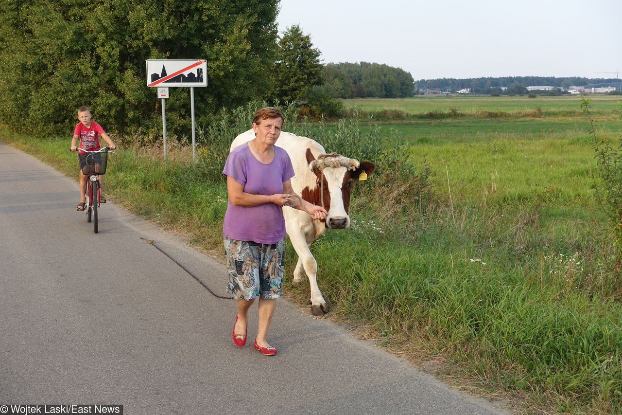 Poseł PiS chce praw miejskich dla 100 wsi. W podzięce za... ich udział w powstaniu styczniowym