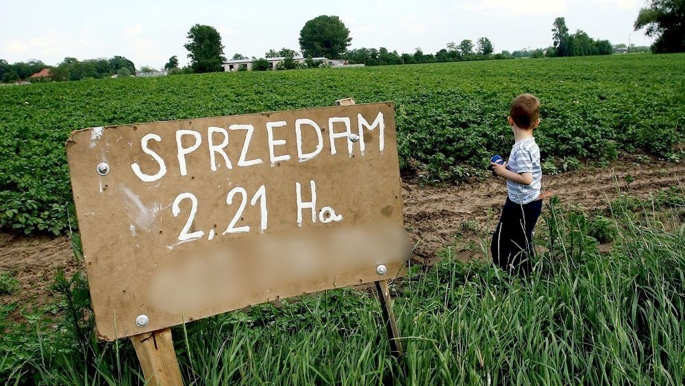 Osoba niebędąca rolnikiem będzie mogła kupić działkę rolną o powierzchni do 1 hektara