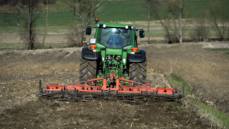 Domyślny opis zdjęcia na stronę główną