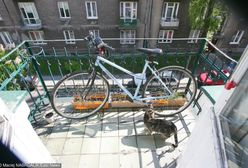 Ich sąsiadka ma około 20 kotów. "Smród wchodzi drzwiami i oknami"