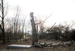 Jaka jest prawda ws. Tupolewa? Nieoficjalne doniesienia o opinii biegłych