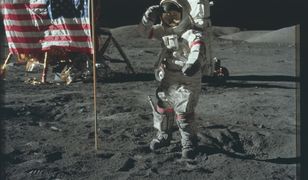 Na mądrości z internetu nie ma rady! Słyszałeś o nich?