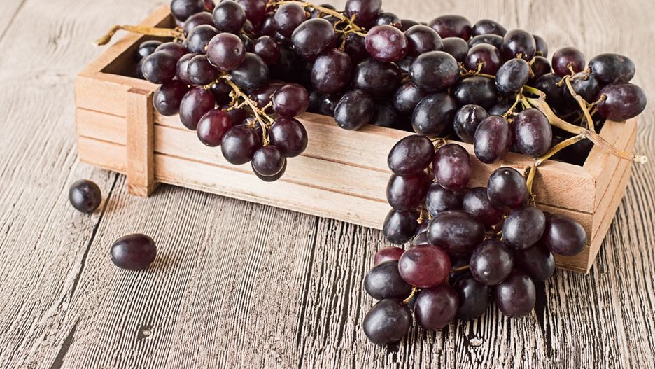 Japończycy kupują owoce za bezcen i oferują ją swoim gościom 