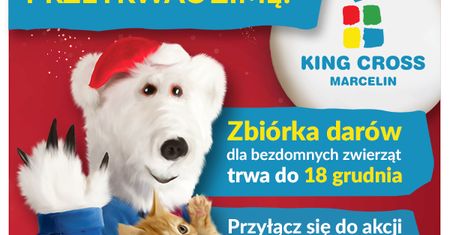 „Miś Marcelin pomaga zwierzętom przetrwać zimę!” – czyli kolejna edycja zbiórki dla bezdomnych zwierzaków w King Cross Marcelin.