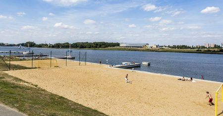 Znów nie można kąpać się w Jeziorze Maltańskim. POSiR zleci zabiegi, by poprawić stan wody