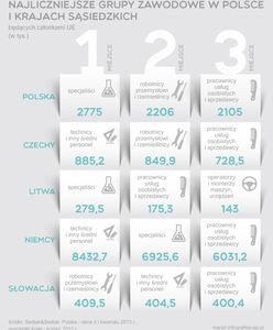 Zawodowa mapa Europejczyków - kogo jest najwięcej i gdzie?