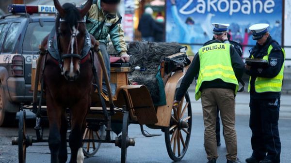 Policja na miejscu wypadku