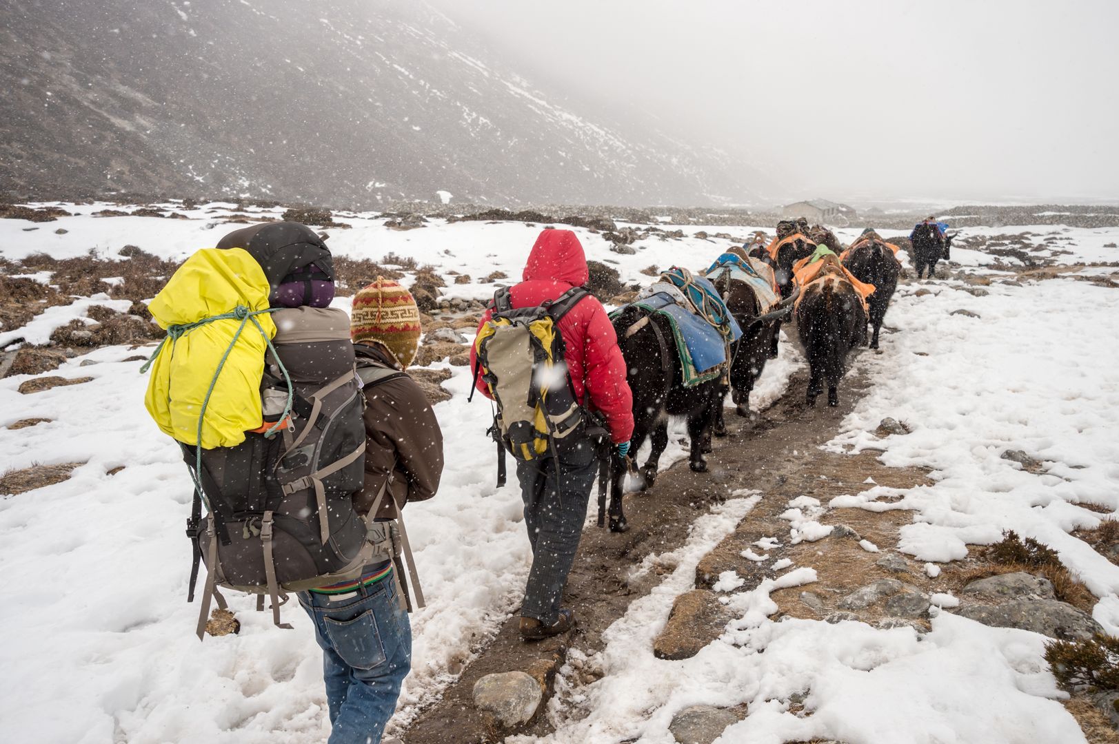 Żadna wyprawa w Himalajach nie obejdzie się bez Sherpów