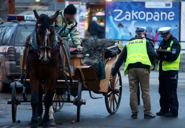 Policja na miejscu wypadku