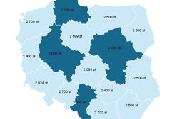 Ile zarabiają nasi internauci?