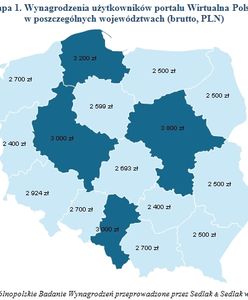 Ile zarabiają nasi internauci?