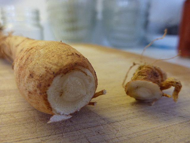 Żeń szeń od setek lat ceniony jest za swoje właściwości zdrowotne. 