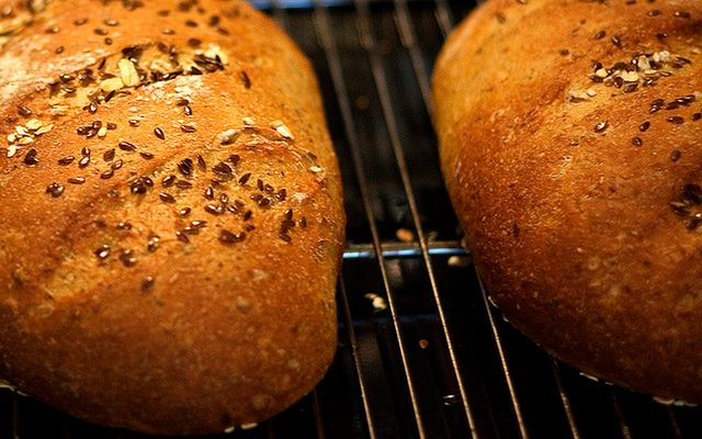 Siemię lniane i olej lniany to cenne źródła lignanów.