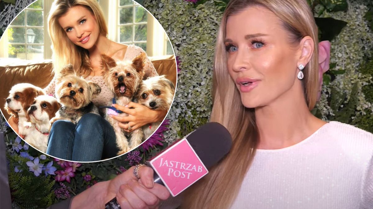 Joanna Krupa spełniła swoje marzenie! Modelka opowiedziała o nowym projekcie w USA. Na to czekała od lat [WIDEO]