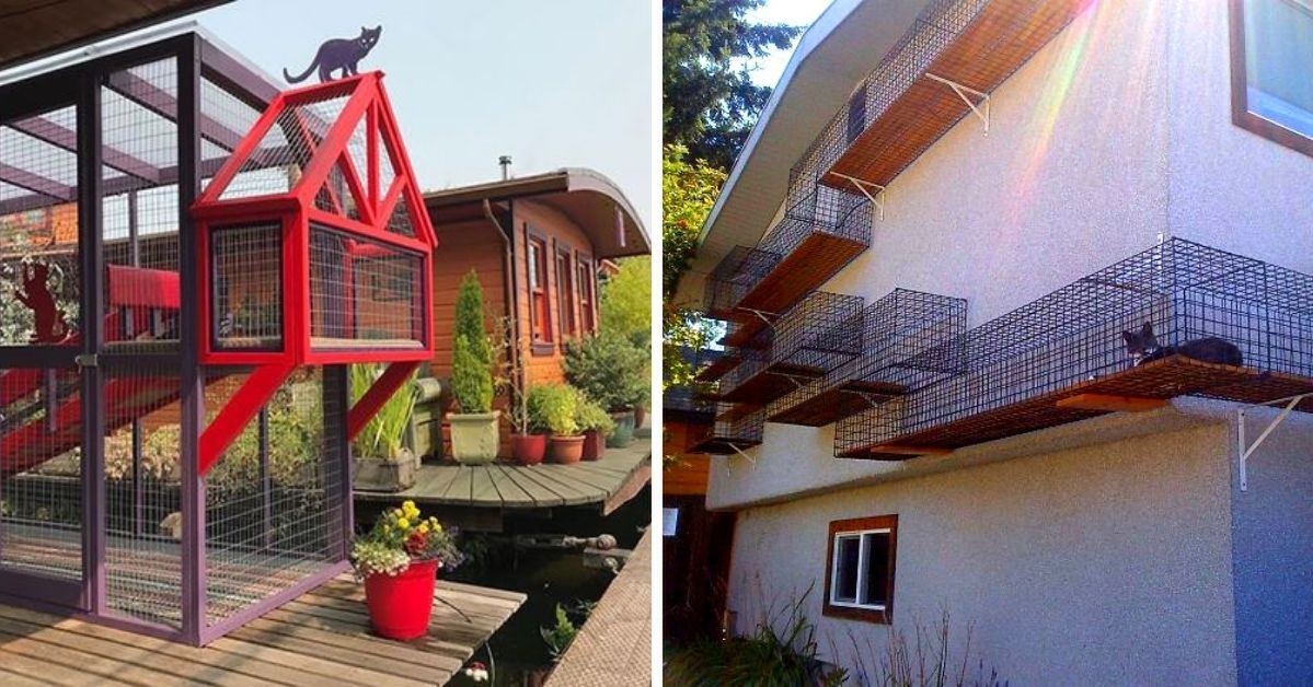 17 Cat Patio Ideas. A Way to Pamper Your Furry Ones