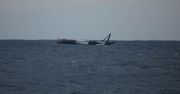 Misja rakiety Falcon 9 się udała, ale jest pewien problem. Miała się rozpaść, a dryfuje po oceanie