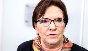 Słowa Ewy Kopacz o dinozaurach poszły w świat. Dotarły do Czech