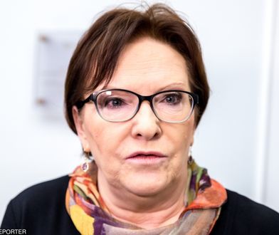 Słowa Ewy Kopacz o dinozaurach poszły w świat. Dotarły do Czech