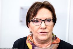 Słowa Ewy Kopacz o dinozaurach poszły w świat. Dotarły do Czech