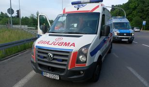 Trasa S8. Zderzyło się siedem aut