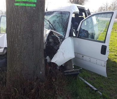 Bus z pracownikami z Ukrainy uderzył w drzewo. Sześcioro rannych