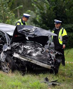 Uwaga, zwierzę na drodze. O odszkodowanie po zderzeniu z sarną czy łosiem niełatwo