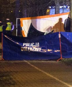 Makabryczny wypadek na DK5 pod Poznaniem. Mężczyzna leżał na jezdni