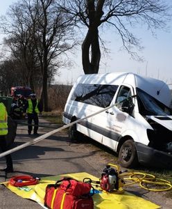 Poważny wypadek w Borkowie. Bus wjechał w drzewo