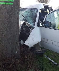 Bus z pracownikami z Ukrainy uderzył w drzewo. Sześcioro rannych