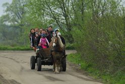 Wypadek na wycieczce szkolnej. 6 dzieci rannych