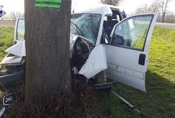 Bus z pracownikami z Ukrainy uderzył w drzewo. Sześcioro rannych