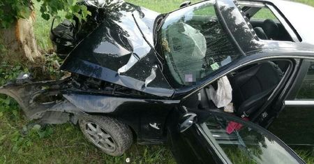 Rozbił pożyczone BMW. Twierdzi, że to wina... antylopy