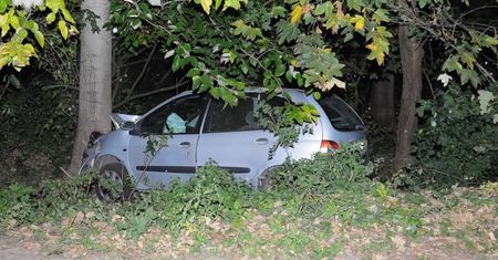 Rozbił auto na drzewie, bo atakowała go osa. Groźny wypadek na Lubelszczyźnie